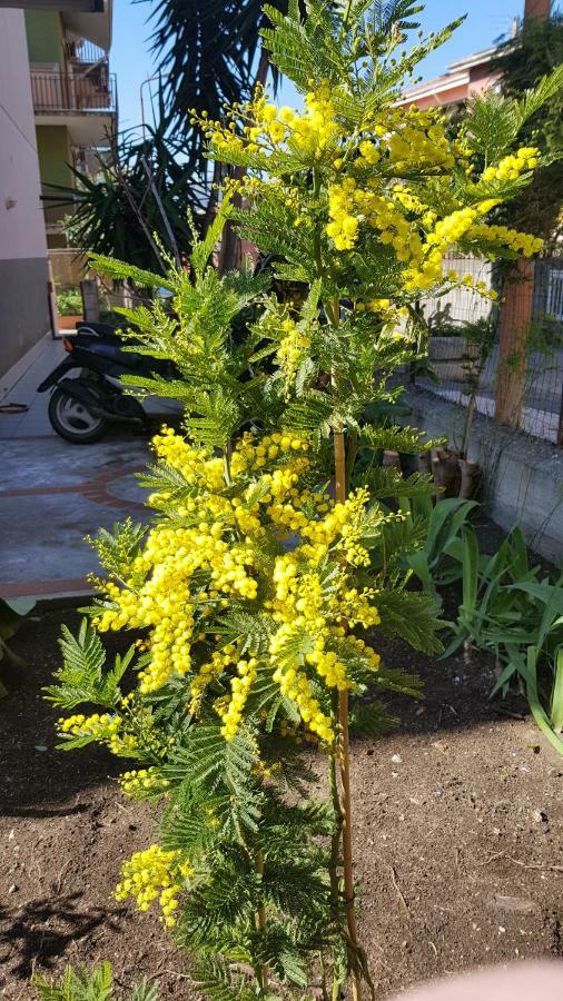 Mimosa 3* Giardini Naxos