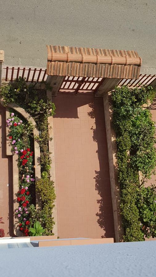 Mimosa Bed & Breakfast